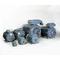 Dust Ignition Proof Motors