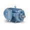 NEMA Motors 