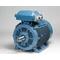 Permanent Magnet Motors